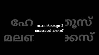 Hortus Malabaricus/ ഹോർത്തൂസ് മലബാറിക്കസ്#Shorts#