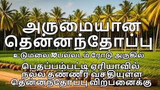 பெதப்பம்பட்டி ஏரியாவில் தண்ணீர் வசதியுள்ள தென்னந்தோப்பு விற்பனைக்கு Coconut Farm sale Pethappampatti