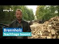 Brennholz: Nachfrageboom in der Börde | MDR SACHSEN-ANHALT HEUTE | MDR