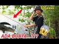 MANCING IKAN DIKOLAM , SAPUTRA DISERANG BUAYA?! | Mikael Family