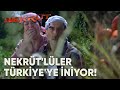 Nekrüt'lüler Türkiye'ye İniş Yapıyor | Nekrüt (2008) | Yerli Film | Weco Film