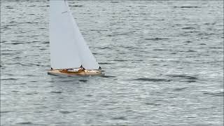 RC-Segelboot Seemöwe mit großem Wassertier ???