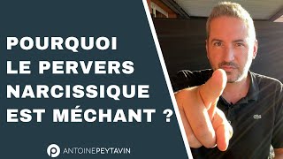 Pourquoi un Pervers Narcissique est aussi méchant ?