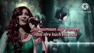 Tum Bin||New Sad Lofi Song||Shreya||Sanam Re Movie