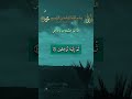 القران الكريم الله نور السموات والارض #quran