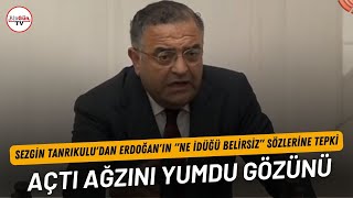 Sezgin Tanrıkulu'dan Erdoğan'ın \