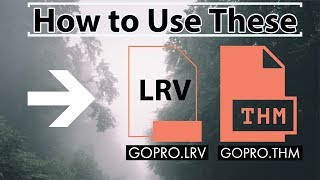 GoPro users need to know these! .LRV and .THM Files and How to use them!