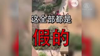 习近平武汉视察 居民一家入驻一警察 720P