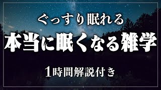 【睡眠導入/作業用】5分で寝落ち 寝ながら賢くなる日常生活の雑学1時間【BGMなし】【男性朗読】