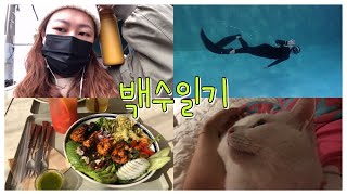 [백수일기] 평일 안국동 브런치 / 프리다이빙 / 요가 / 카톡 이모티콘 만들기 / 고양이랑 놀기