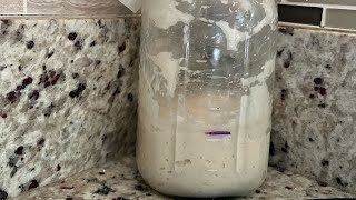 The Origin Story of the 177 year old Sourdough Starter