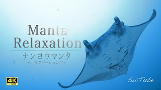 ナンヨウマンタの遊泳 海の絶景【4K映像とヒーリングミュージック】 リラクゼーション用 4K Beautiful Manta Rays swimming for Relaxation