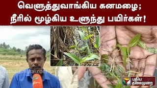 வெளுத்துவாங்கிய கனமழை; நீரில் மூழ்கிய உளுந்து பயிர்கள்! | #Mayiladuthurai | #TnRains | #Farmer | PTT