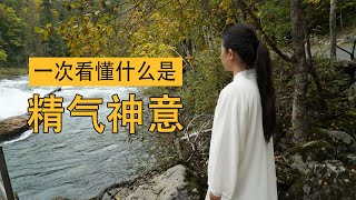 一次看懂 什么是精气神意  taichi太极 | meditation禅修 |body energy 身体能量