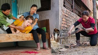 Shocking: Trinh Confronts King Cobra Attack Chickens Stalls  and Take Care Sick Her Young Sister