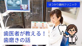 【予防歯科】歯医者が教える！歯磨きの仕方！オーラルケアは健康経営に最強の健康法！〜虫歯や歯周病、口臭でお悩みの方必見