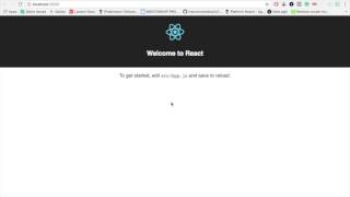 Start a react app without webpack configurations