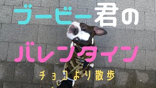 多摩川の土手を散歩して二子玉川ショッピングへGO！！【バレンタイン】