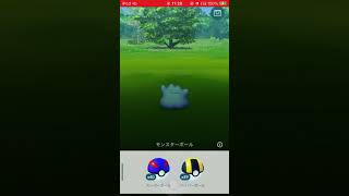 PokemonGO メタモン色違い