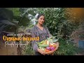 productive day in my life | Organic harvest |silent vlog