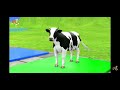 long slide game with elephant cow gorilla lion t rax choose the right door with tire 3d animal game