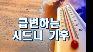 급변하는 시드니 기후  하명호 칼럼