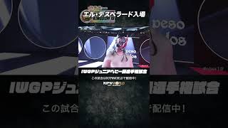 新日本プロレス『WRESTLE KINGDOM 19 in 東京ドーム』(1.4) エル・デスペラード入場 #shorts