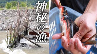 【珍食】神秘の漁「つけば」で捕獲した天然ウグイを出すお季節限定店