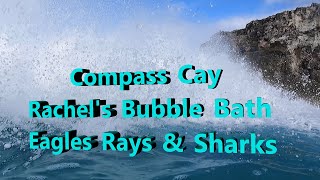 Compass Cay - Rachels Bubble Bath - Eagle Rays \u0026 Sharks