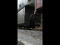 99 1542 2 mit einem rollwagenzug im preßnitztal german narrow gauge loco 99 1542 2 with freights