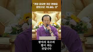 1분 천심의 길 20: 가장 중요한 것은 한마음 한뜻으로 기도하는 것 #Shorts