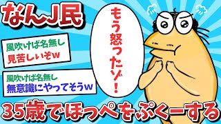 【悲報】なんJ民、35歳でほっぺをぷくーしてしまうｗｗｗ【2ch面白いスレ】【ゆっくり解説】