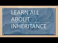 Inheritance in java. Understand in depth of inheritance, design princples, tricks and pitfalls.