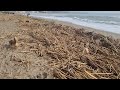 Los Boliches beach/ Fuengirola after Dana Rain.