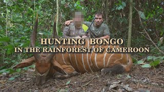 Hunting Bongo in the Rainforest of Cameroon Part 1-2 Trailer