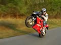 cbr954rr wheelie