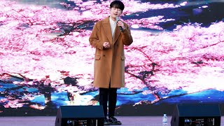 이찬원(LeeChanWon)李燦元 '시절인연' | 2025상주곶감축제 | 25.01.11