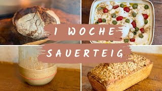 What I can do with SOURDOUGH in a week! 🍞📩 Pssst, get my mini-course as a gift! 🎁