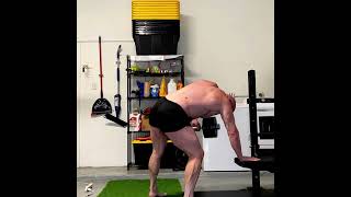 Heavy Dumbbell Rows As A Back Finisher! #bodybuilding