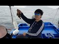 【香港艇釣精華】第5集 青洲釣魚魚獲vlog ｜4條雞魚｜19 03 2022 釣魚 青洲釣魚 青洲 艇釣日誌 釣魚影片 釣魚日記 香港釣魚 港水 港水釣魚 石狗 斑 南極蝦