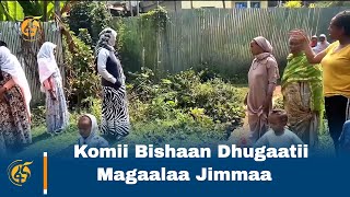 Komii Bishaan Dhugaatii Magaalaa Jimmaa