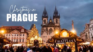 Christmas Markets in Prague, Czech Republic || European Christmas Market Tour 2024 Part 1