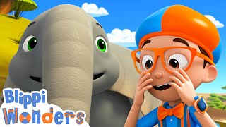 What Are Elephant Trunks For? | Blippi Wonders | Educational Cartoons for Kids | Blippi Toys