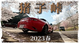 猪子峠 2023桜の頃　～　ロードスター､4K車載動画､GoPro