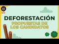 Deforestación en Colombia, ¿qué propone su candidato a la presidencia? | Elecciones 2022