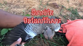 លលកធ្នាក់ខ្មែរ ទំនេរឆ្លៀតបាន២ម៉ោងទៅលេងដីចាស់ទៅរាប់ភ្លេចហើយតែមិនដែលបានសោះ