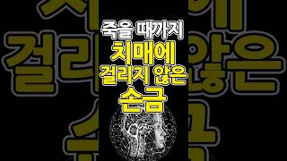 [손금보는법] 죽을 때까지 치매 안 걸리는 행운 손금 vs 치매  잘 걸리는 손금