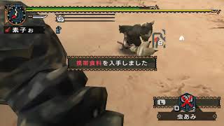 [MHP2G][のんびり訓練][特別訓練]ドスガレオス討伐訓練-狩猟笛