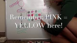 Mi: Microarray Part 1