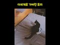 이세계로 가버린 토리#shorts